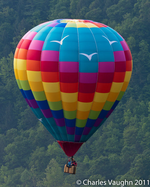 Balloon-0123.jpg