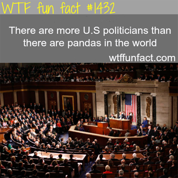 fun-facts-006-05202013.png