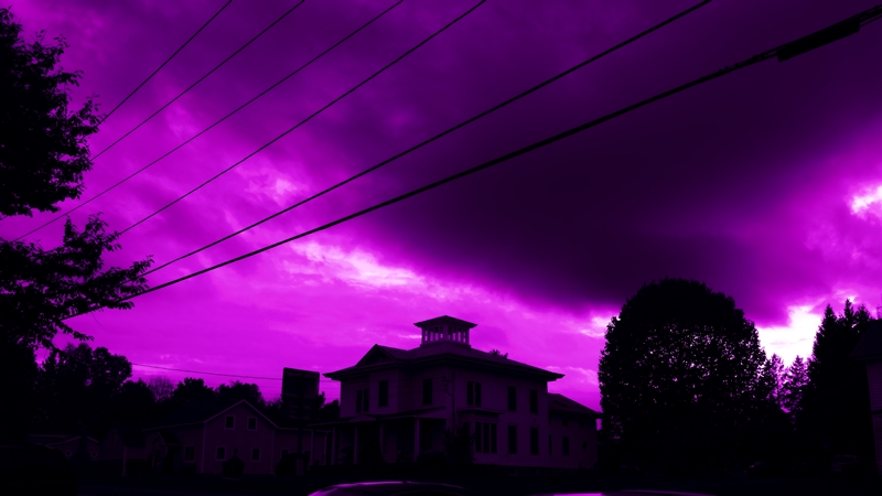 DSC_0234 -1EV HD Purple Haze sml.jpg