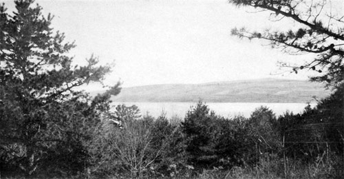 View of Seneca Lake