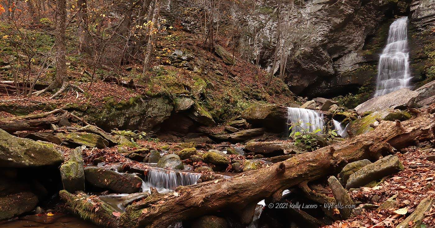Buttermilk Falls (in Denning) photographed in autumn. A large log rests in the creek in the foreground.