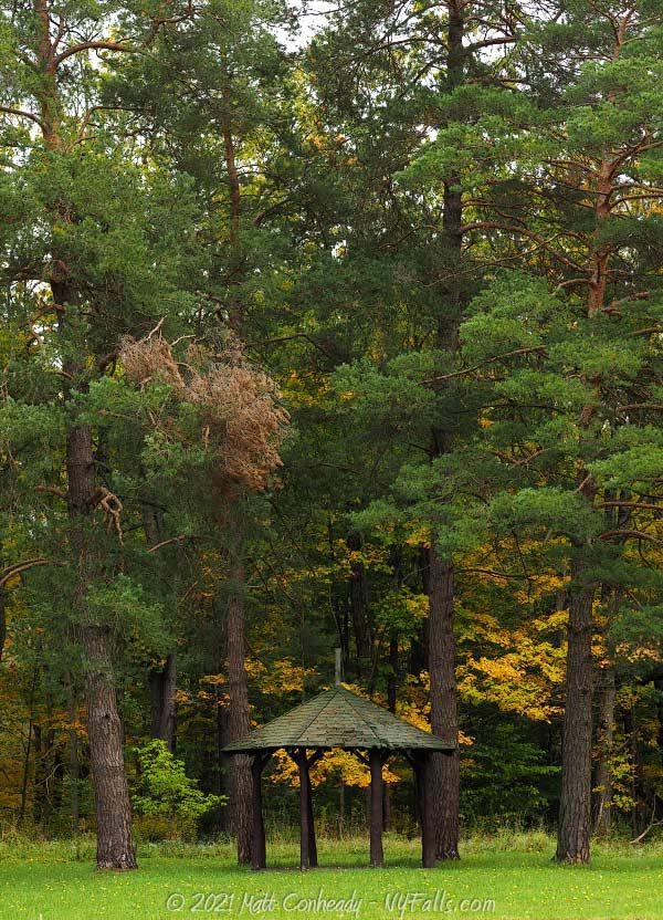 A small shelter next to some tall trees at Emery Park in Aurora, NY