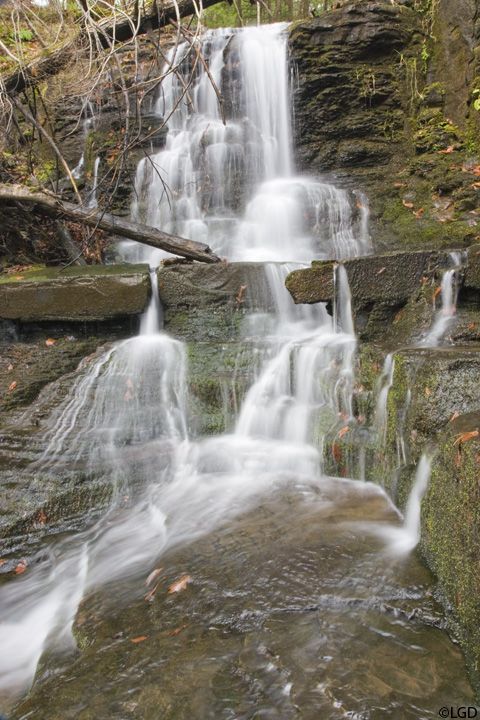 Waterfall in Partridge Run WMA by LGD