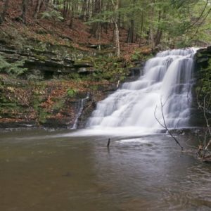 Waterfall in Partridge Run WMA by LGD