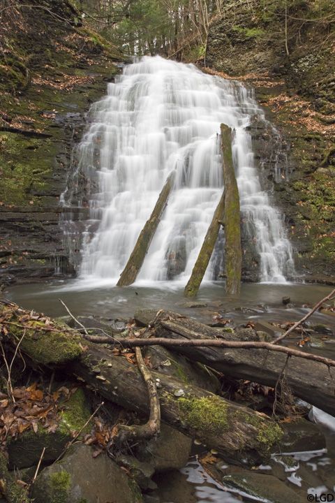 A waterfall within Hannacroix Ravine that has large logs leaning up against it.