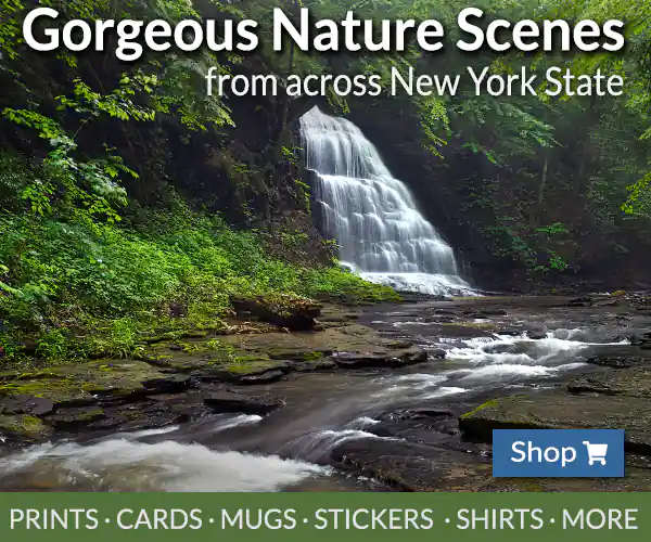 Gorgeous Nature Scenes from across New York State Shop prints, cards, mugs, stickers, shirts, more