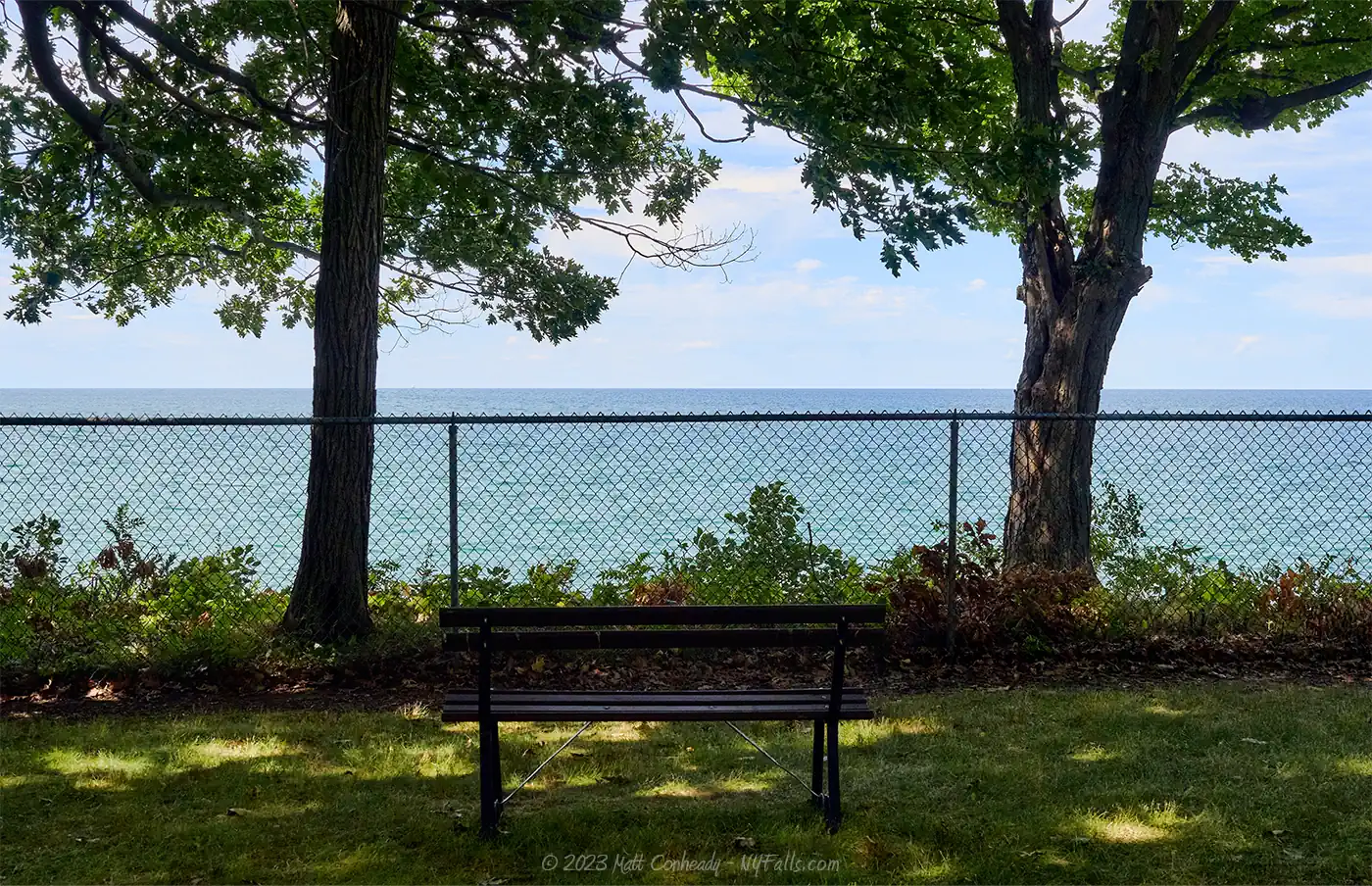 A view of Lake Erie from Ottaway Park showing a bench, fence, and trees