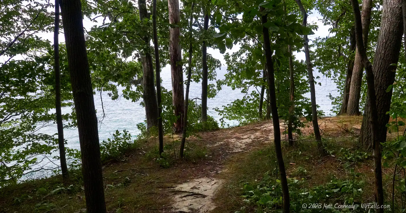 A view through the trees towards Lake Erie at Ottaway Park