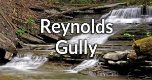 Reynolds Gully information