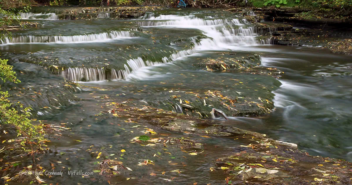 A view of Serenity Falls on Scajaquada Creek, littered with fallen leaves