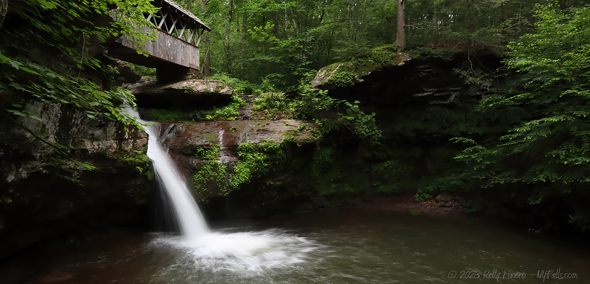 Artist Falls emerges under a covered bridge with lots of greenery surrounding it, in summer.