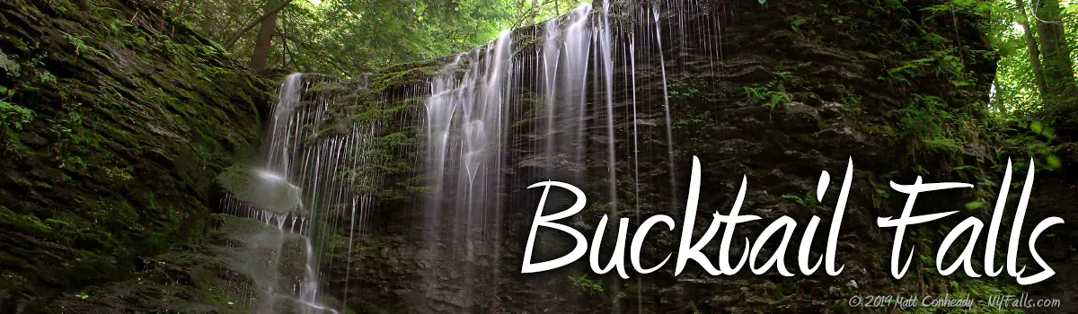 Bucktail Falls Information