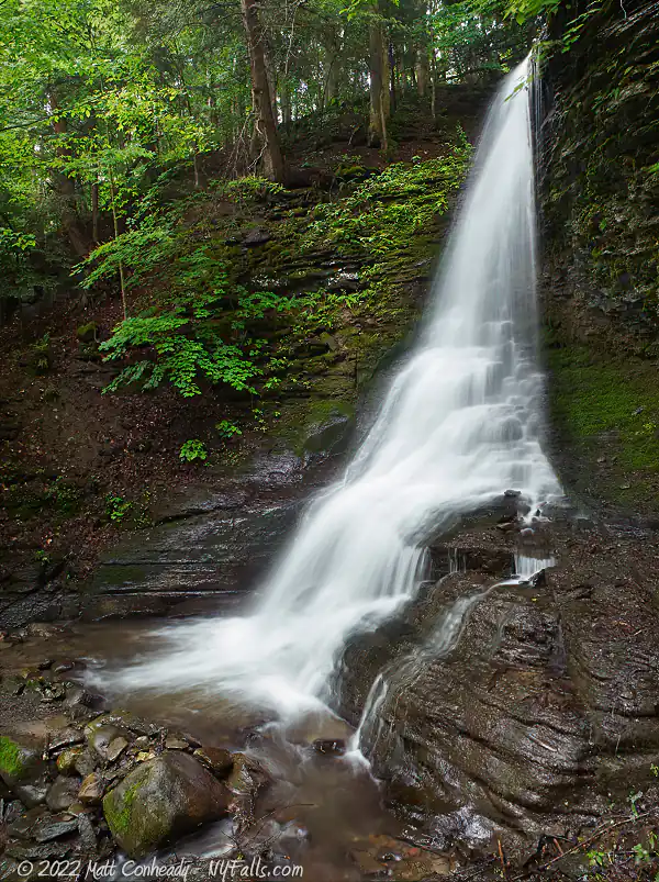 A aide-view of Bucktail Falls (in Spafford) is almost shaped like a deer's tail.