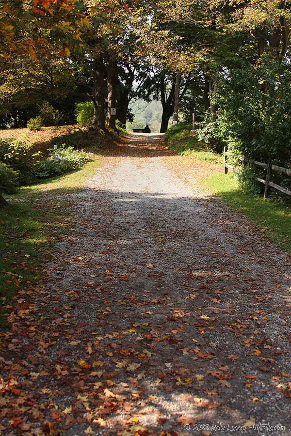 The driveway near Dover Stone Church, covered in autumn leaves