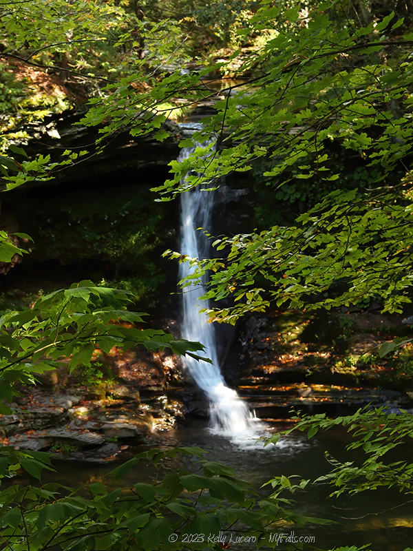 Bridal Veil Falls as seen through summer foliage.