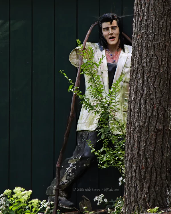 A larger than life statue of Elvis Presley hidden on the property of the Glen Falls House.