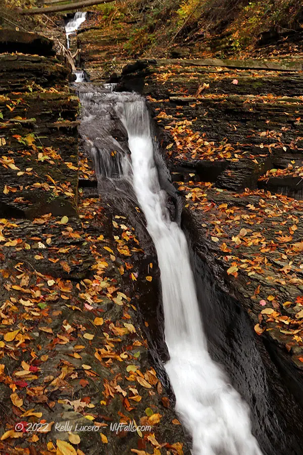 Upper Falls Chute with autumn leaves - Whiteman Gully