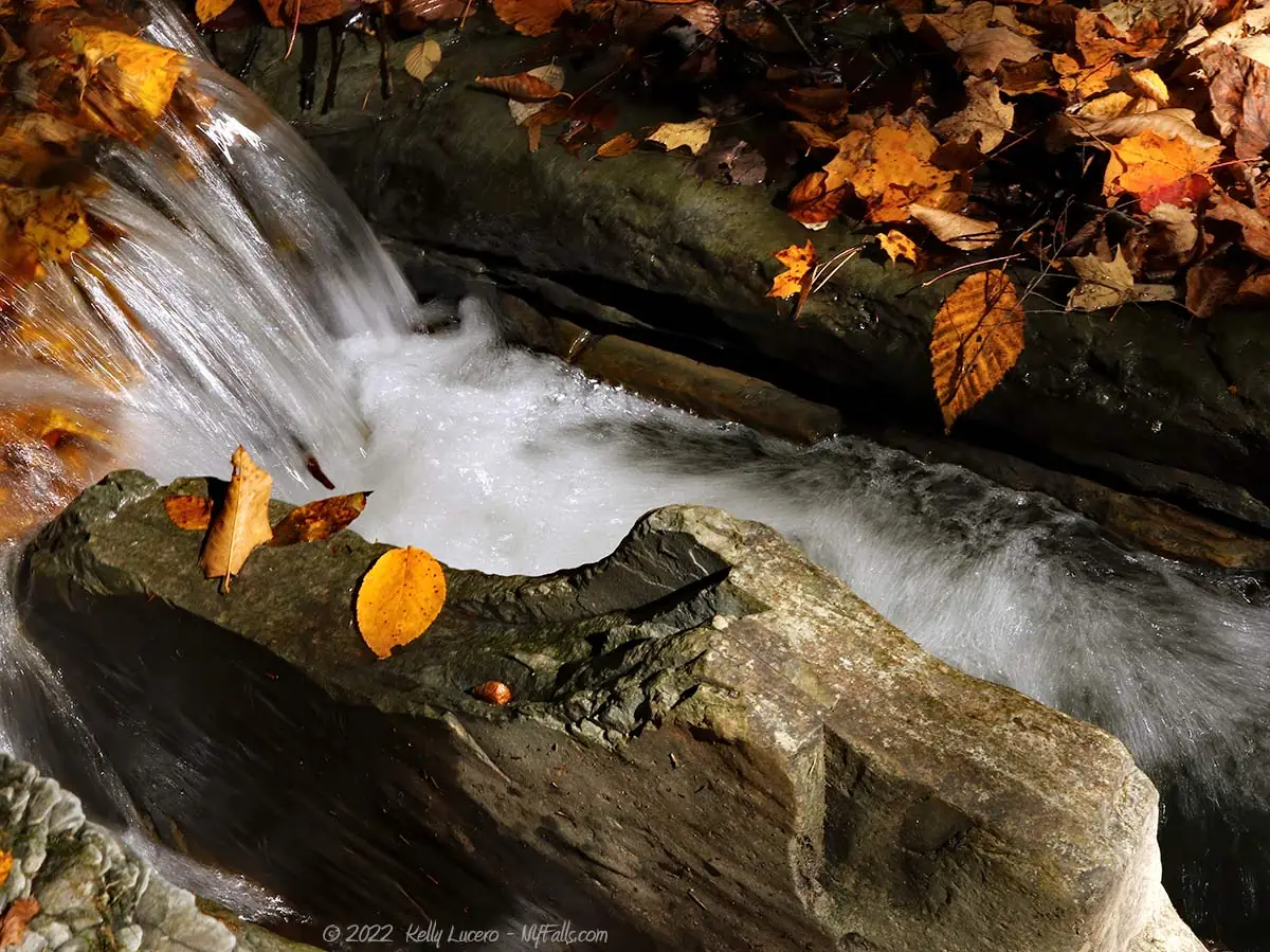 Water falling over smooth rock and golden autumn leaves at Whiteman Gully