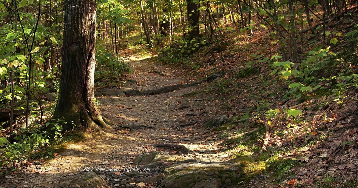 Trail at High Falls Conservation Area in autumn