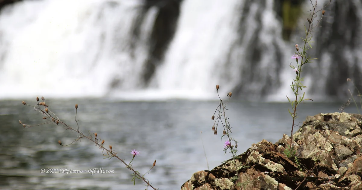 Stuyvesant Falls Waterfall and flowers Columbia County NY Kelly Lucero