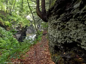 A very narrow trail along a sheer cliff in upper Deckertown Falls