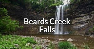 Beards Creek Falls (in Leicester, NY) information