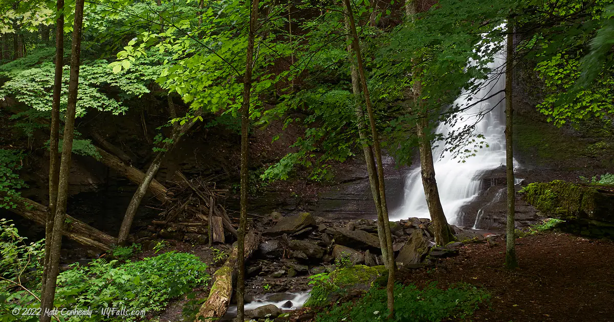 Looking through the wooded area at Bucktail Falls. The woods are dense so it's a little dark. Left of the falls are some stones and branches piled up.