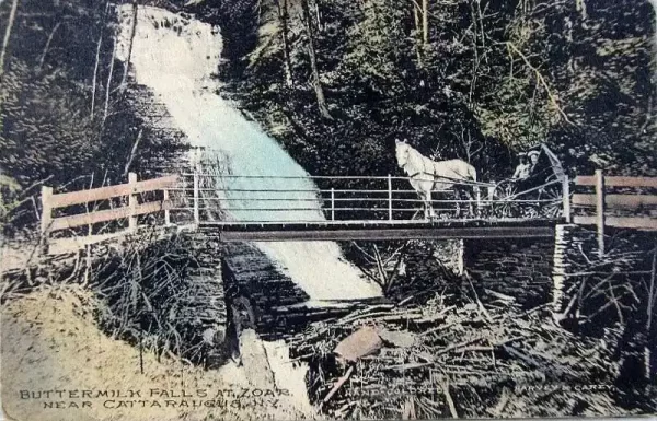 Vintage postcard showing Buttermilk Falls in Zoar Valley. A horse-drawn carriage is parked in front of the falls on a bridge.