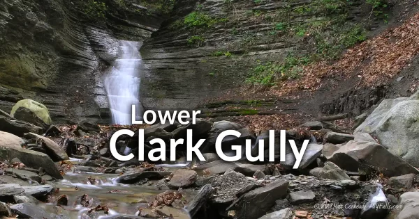 Lower Clark's Gully (in Naples, NY) information