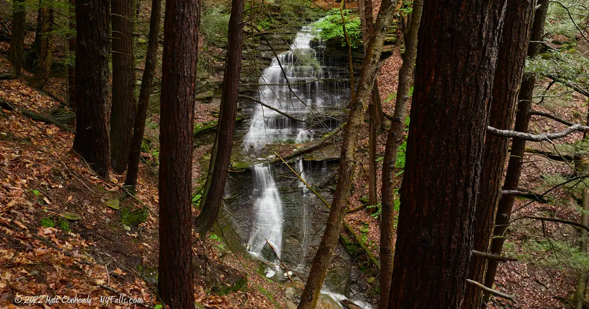 Upper County Line Falls through the trees.
