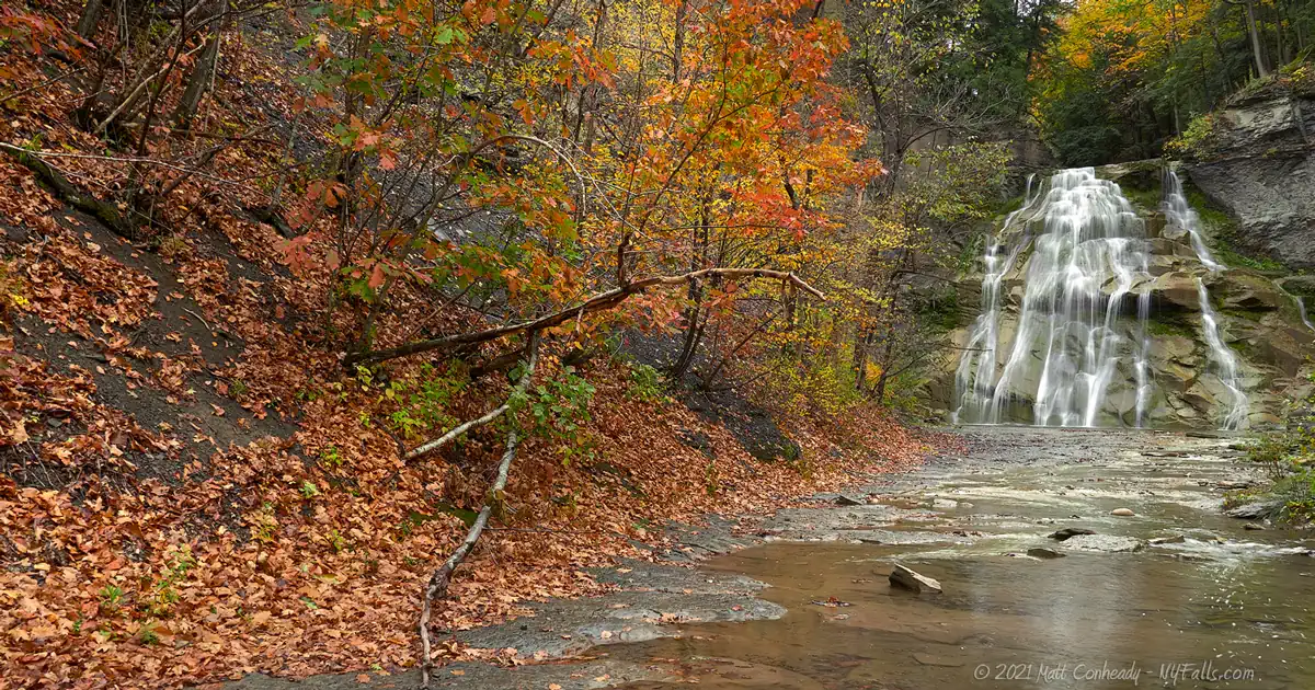 Delphi Falls in the distance with orange fallen leaves on the left.
