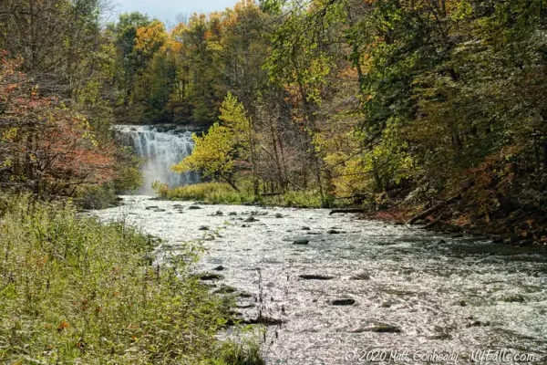 A view looking up Limestone Creek, past fall foliage, towards Edwards Falls in the distance.