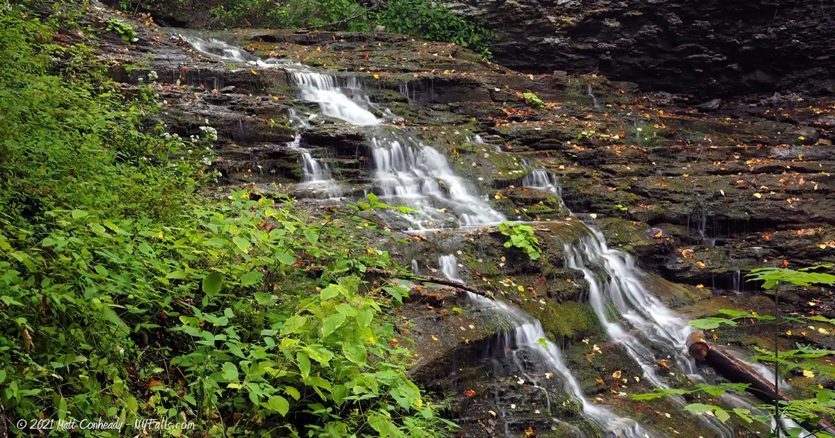 A view of a waterfall surrounded by jagged cliffs and trees in Emery Park (Aurora, New York)
