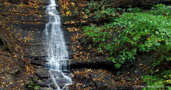 A view of a seasonal waterfall along the gorge leading up to Eternal Flame Falls