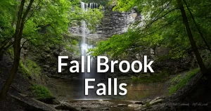 Fall Brook Falls (in Geneseo, NY) information