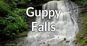 Guppy Falls