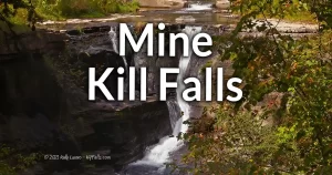 Mine Kill Falls (Mine Kill State Park) information
