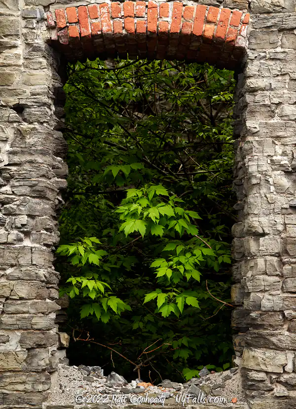 A windows overtaken by nature from the Gleason Works old mill at High Falls