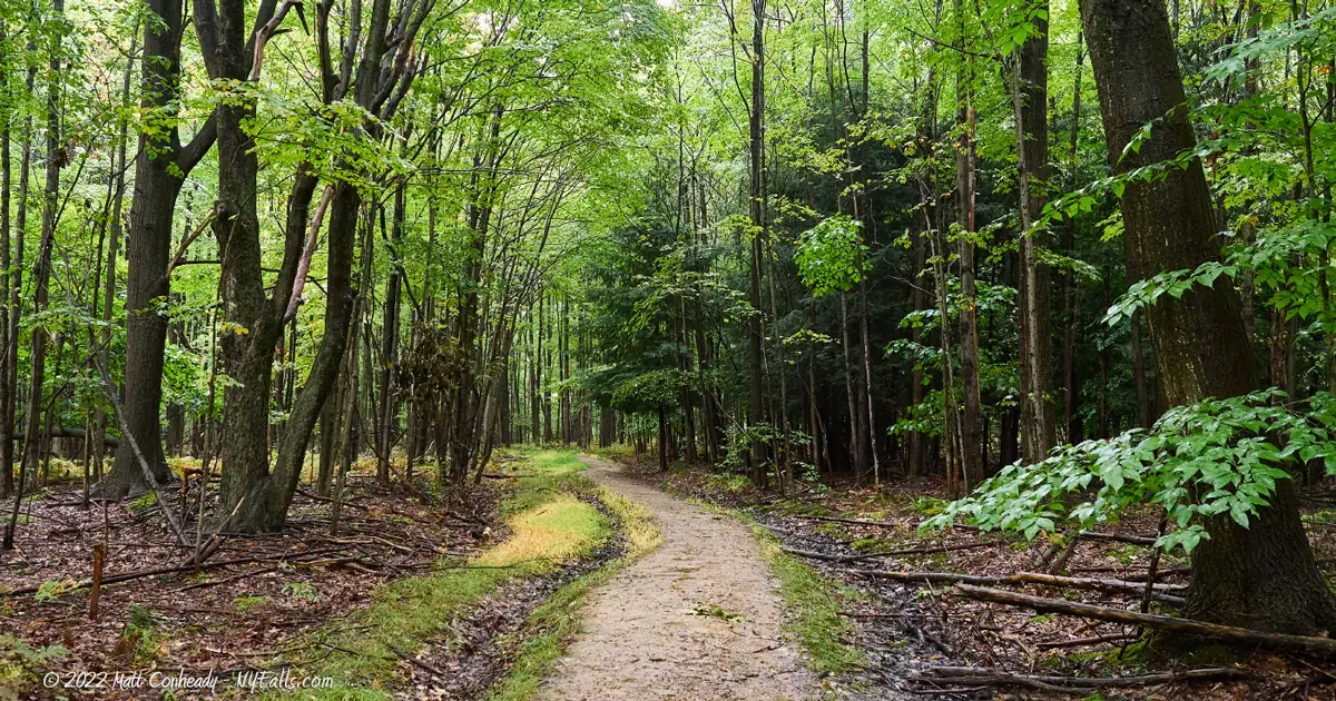 The trail leading into the Owens Falls Sanctuary in East Aurora