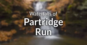 Waterfalls of Partridge Run Wildlife Management Area (information)