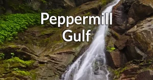 Peppermill Gulf information