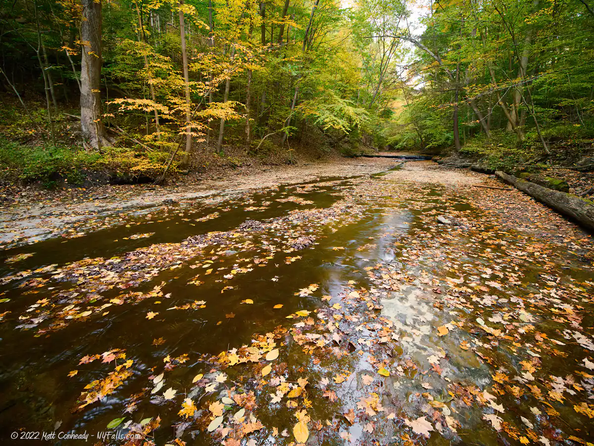 Gulf Creek in Autumn