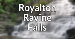 Royalton Ravine Falls information