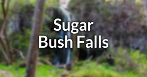 Sugar Bush Falls