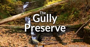 The Gully Preserve (AKA Whiteman Gully) Information