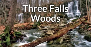 Three Falls Woods Nature Preserve information