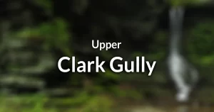 Upper Clark's Gully (in Naples, NY) information