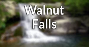 Walnut Falls (in Forestville, NY) information