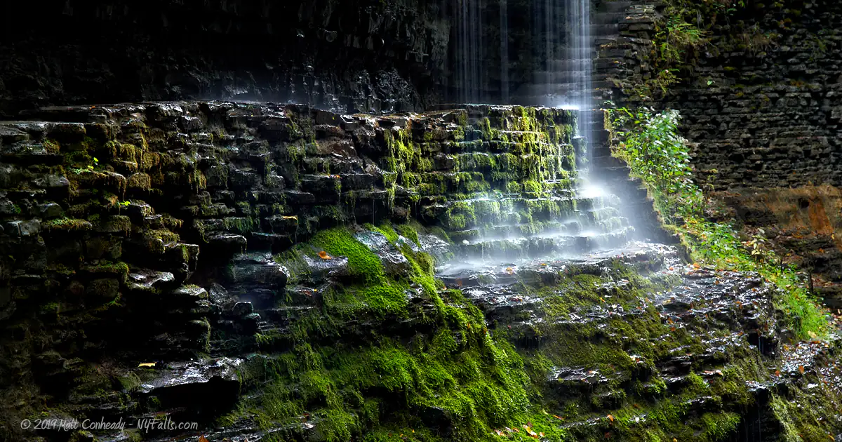 A close up of a wet and mossy trail in Watkins Glen