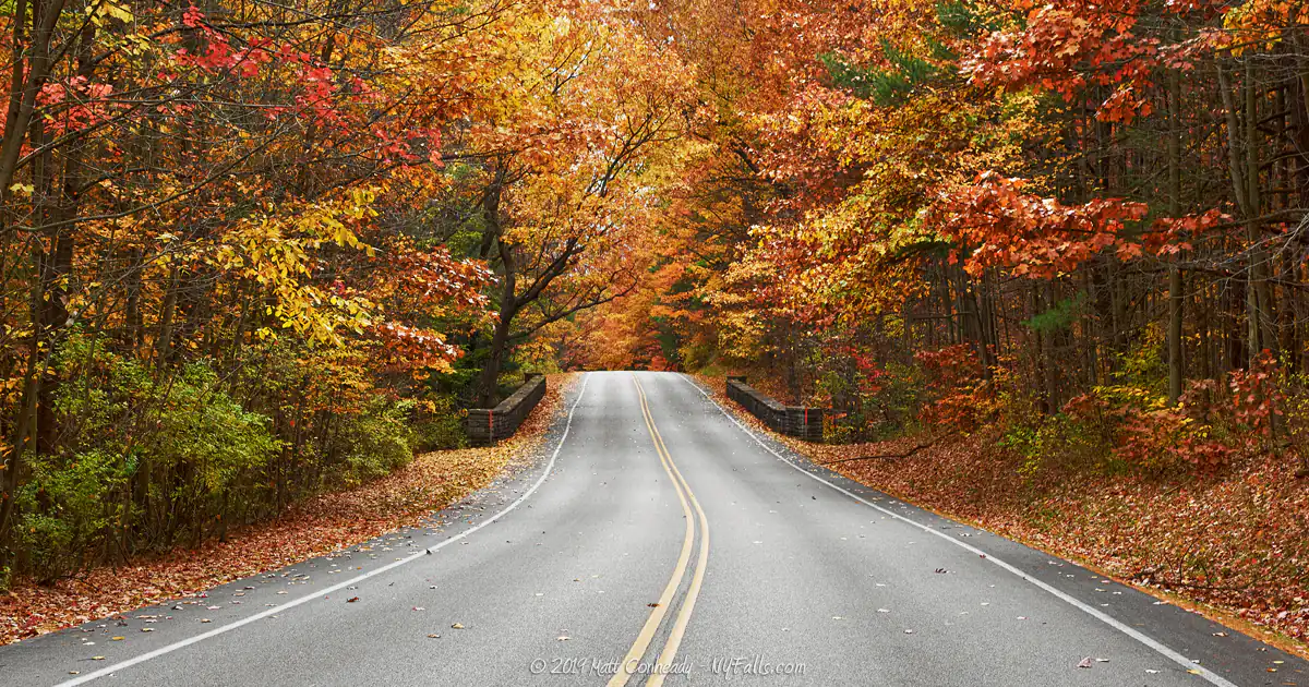 Autumn park road scene at Letchworth State Park